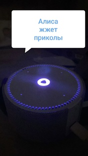 Колонка Алиса Приколы