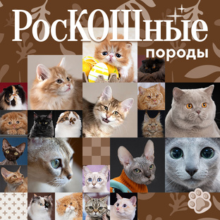 РосКошные породы