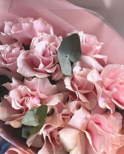 Полезные статьи 