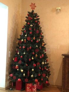 Новый год 2025