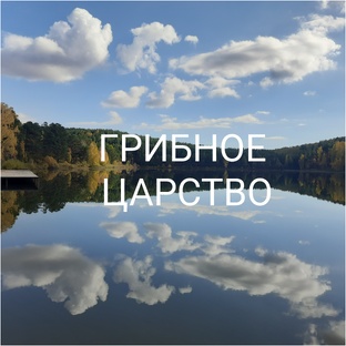 Грибочки такие разные