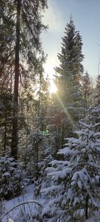 Россия