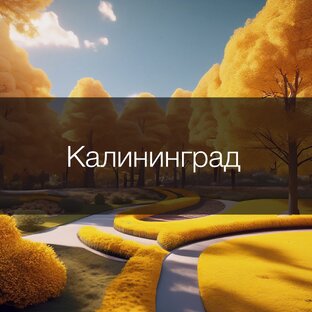 Жизнь в Калининграде