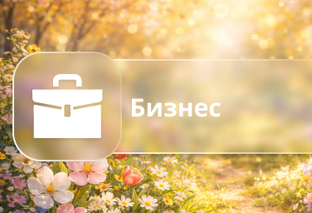 Бизнес