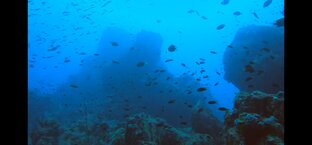 Шри-Ланка, дайвинг и экскурсии