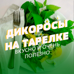Дикоросы на тарелке