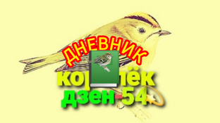 дневник📝королька 📗