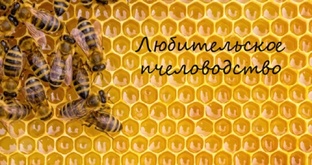 Улей для пчел