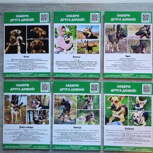 ПРОЕКТЫ и АКЦИИ