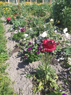 ПРИМЕЧАТЕЛЬНЫЕ ЗАМЕТКИ.