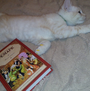 Рекомендую к прочтению