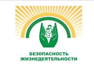 Безопасность жизнедеятельности