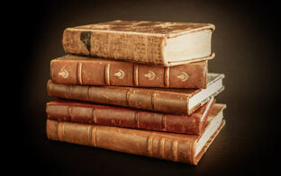 Лингвистика