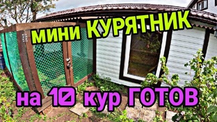 Курятник