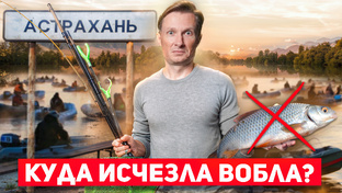 Экология России