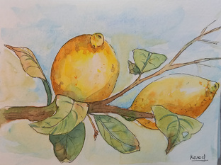 Акварель для начинающих. Подробные ролики