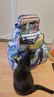 Сумка в роддом 