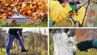 Осенние заботы садовода