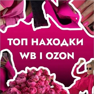 Лидер просмотров: подборка самых читаемых