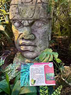 Парки и сады в Москве