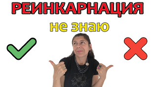 Реинкарнация.