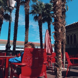 Кейсы из ситтерства