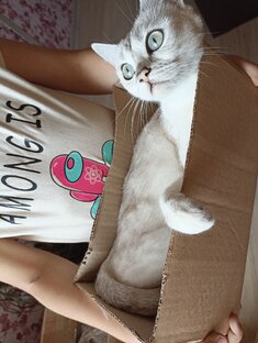 Ребёнок нашел в коробке, а мы решили оставить. 