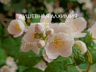 Журнал Душевная Алхимия