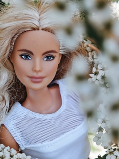 Куклы Барби на моей полочке❤️