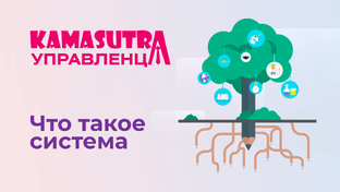  Камасутра управленца