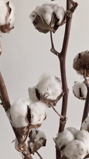 Эстетика осени 