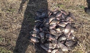 Подборка хороших уловов