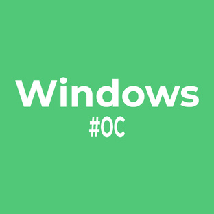 Раздел: Windows