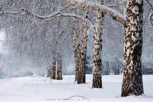 Прионтина. Влада Степанова. 7 видео