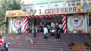 Школа В Сочи