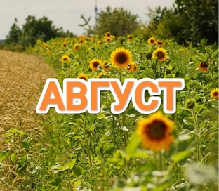 Лунный календарь на Август 2025г