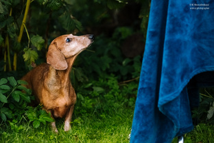 Кнопочка. Самая старшая.