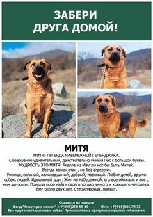 ИЩУТ ДОМ 🏡