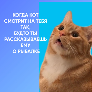 Смешные картинки