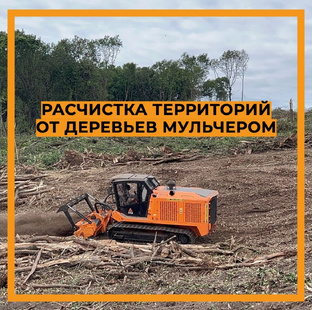 ИНТЕРЕСНЫЕ И ПОЛЕЗНЫЕ ВИДЕО ИЗ НАШЕЙ ДЕЯТЕЛЬНОСТИ