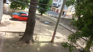 Астрахань дваровая дарога опиловка деревьев ул ползунова дом 7 корпус 1