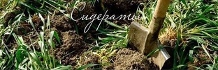 Сидераты 