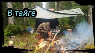 Сезон 2020 г. Нижневартовск
