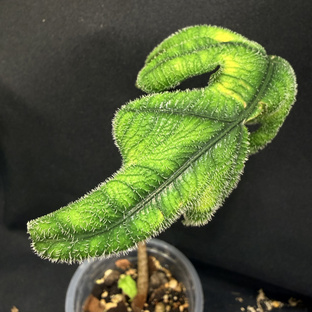 Вы спрашиваете - мы отвечаем