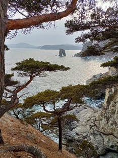 Зимнее ПриМорье