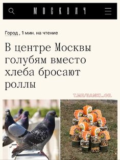 Смешно о серьезном. Юристы шутят *)