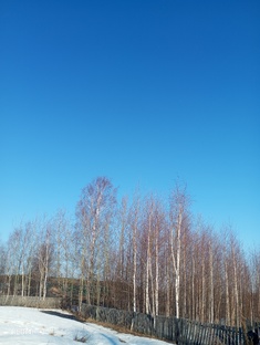 Весна 