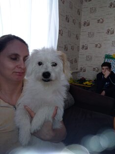 философия жизни - размышления, личный опыт, идеи