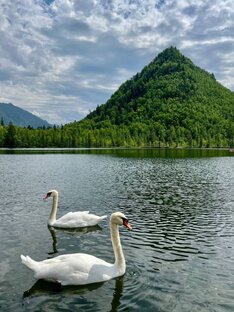 Путешествуй в хорошей компании