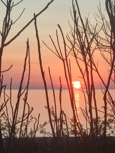 НАСТРОЕНИЕ ДНЯ